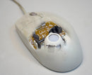 Mouse Ball semi-inside view