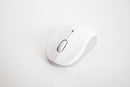 Mouse Modelo 03